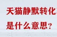 天貓靜默轉(zhuǎn)化率是什么意思？