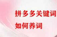 拼多多關(guān)鍵詞如何養(yǎng)？