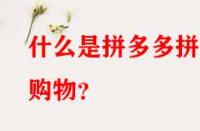 什么是拼多多拼單購物？