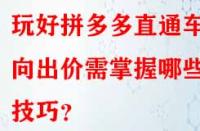 玩好拼多多直通車定向出價(jià)需掌握哪些技巧？