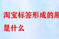 怎樣得到精準(zhǔn)流量？淘寶標(biāo)簽形成的原因是什么？