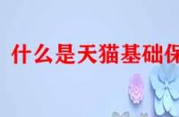 什么是天貓基礎(chǔ)保障？它的作用是什么？