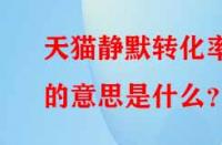 天貓靜默轉(zhuǎn)化率的意思是什么？
