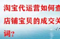 淘寶代運(yùn)營(yíng)如何查看店鋪寶貝的成交關(guān)鍵詞？