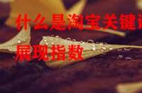 什么是淘寶關(guān)鍵詞展現(xiàn)指數(shù)？它的作用是什么？