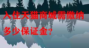天貓代運(yùn)營
