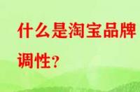 什么是淘寶品牌調(diào)性？