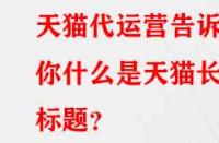 天貓代運(yùn)營(yíng)告訴你什么是天貓長(zhǎng)標(biāo)題？