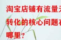 淘寶店鋪有流量無(wú)轉(zhuǎn)化的核心問(wèn)題在哪里？
