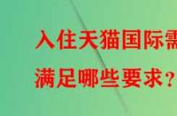 入住天貓國際需滿足哪些要求？