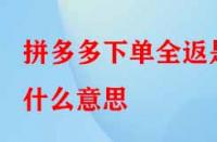 拼多多下單全返是什么意思？具體是如何操作的？