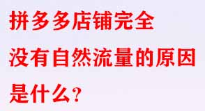 拼多多代運(yùn)營(yíng)