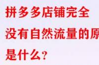 拼多多店鋪完全沒有自然流量的原因是什么？