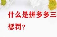 什么是拼多多三級(jí)懲罰？