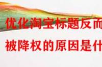 優(yōu)化淘寶標(biāo)題反而被降權(quán)的原因是什么？