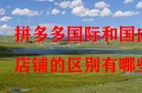 拼多多國(guó)際和國(guó)內(nèi)店鋪的區(qū)別有哪些？