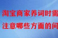 淘寶商家養(yǎng)詞時(shí)需注意哪些方面的問題？