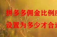 拼多多傭金比例應(yīng)設(shè)置為多少才合適？