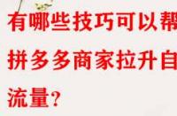 有哪些技巧可以幫助拼多多商家拉升自然流量？