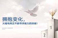武漢淘寶代運(yùn)營(yíng)多少錢？