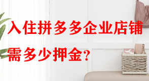 拼多多代運(yùn)營(yíng)