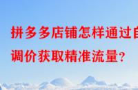 拼多多店鋪怎樣通過自動(dòng)調(diào)價(jià)獲取精準(zhǔn)流量？