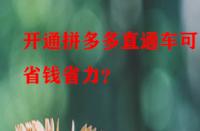 開(kāi)通拼多多直通車(chē)可更省錢(qián)省力？