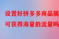 設(shè)置好拼多多商品屬性可獲得海量的流量嗎？